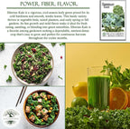 Siberian Kale Seeds for Planting – 1000+ Non-GMO & Heirloom Seeds by Isla's Garden Seeds, Brassica Napus, Cold-Tolerant Leafy Green, Fast-Growing Vegetable, Great Gift for Home Gardeners