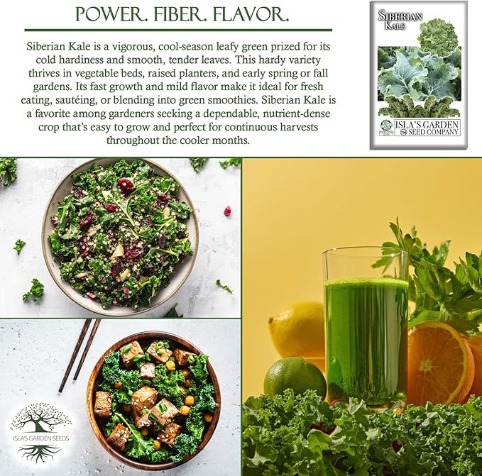 Siberian Kale Seeds for Planting – 1000+ Non-GMO & Heirloom Seeds by Isla's Garden Seeds, Brassica Napus, Cold-Tolerant Leafy Green, Fast-Growing Vegetable, Great Gift for Home Gardeners