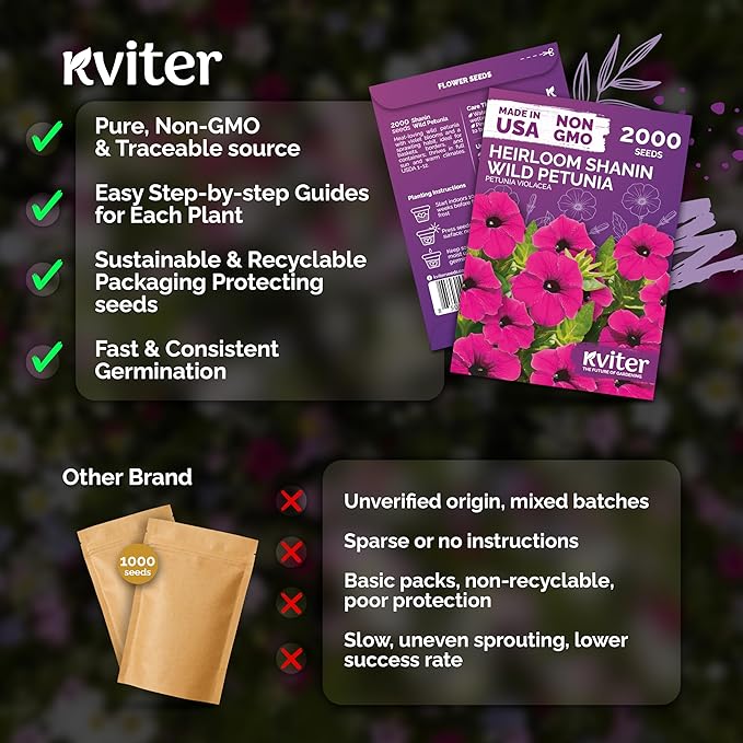 KVITER 2000 Shanin Wild Petunia Seeds for Planting (Pеtuniа viоlacea) – Violet Petunia Seed Packets Bulk – Annual Purple Flower Seeds to Plant Outside in Hanging Baskets, Flower Garden, Containers