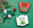 BUZZY Seeds Holiday Candy Cane Mini Terracotta Grow Pots, 6-Pack Peppermint Seeds, Indoor Plant Starter Kit, Stocking Stuffers, Party Favors
