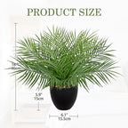 Briful Artificial Palm Plant in Black Pot, 18” Faux Tropical Tabletop Plant with 14 Realistic Leaves, Small Potted Palm Tree for Farmhouse, Coffee Table, Entryway, Bathroom, Shelf & Living Room Decor