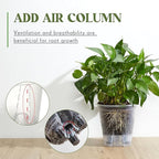 Wonderjune Self Watering Pots for Indoor Plants with Deep Reservoir and High Drainage Holes for Outdoor Plants and Flowers, Bare Root Planter(5.91'',Clear,9 Pcs)