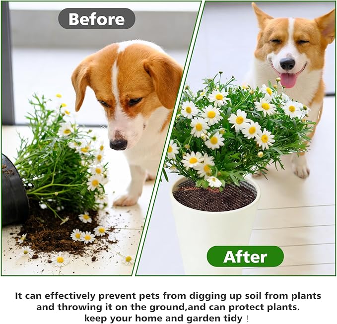 6 Pack Plant Pot Grids, 11.8" Trim-to-Fit Plant Pot Soil Covers Protectors from Animals, Indoor Outdoor Plant Protection with Metal Stakes, Black