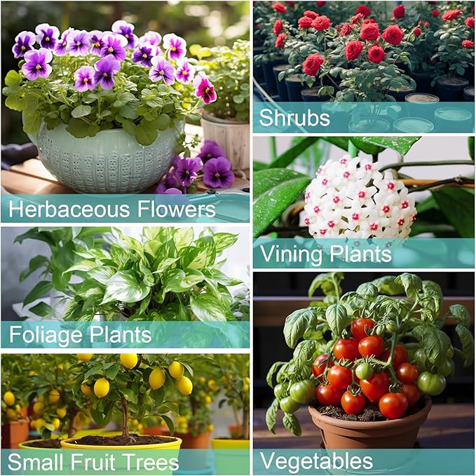 Potting Soil Mix 10qt for Indoor Plants, Organic Houseplant Soil Well Draining Dirt Ready to Use, Fit for House Plant Like Pothos, Philodendron, Monstera, African Violet
