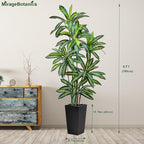Artificial Dracaena Tree 6FT Tall Fake Plant with White Planter - Realistic Faux Dragon Tree with Tall Planter - Indoor Floor Plant for Home, Office,Mall, Living Room, Bedroom Decor