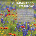 Monarch Butterfly Rescue Mix - Large 1 Ounce Packet - 11,000 Flower Seeds for Planting - Wildflower Mix