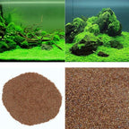 Aquarium G-r-a-s-s P-l-a-n-t - 3 Pack | Easy-Growing Water P-l-a-n-t for Fish Tank Aquarium