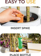 Reifier 6-Pack Natural Self Watering Spikes - Terracotta - Automatic Plant Waterer for Indoor & Outdoor