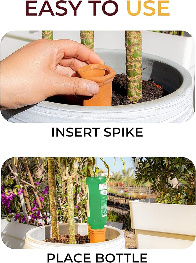 Reifier 6-Pack Natural Self Watering Spikes - Terracotta - Automatic Plant Waterer for Indoor & Outdoor