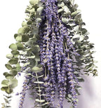 120 PCS Dried Eucalyptus Stems & Lavender Flowers Bundle for Shower, 17'' Natural Real Live Eucalyptus Leaves Greenery Stems & Aromatic Lavender Shower Plant,Gift for Mother,Fragrance, Decor