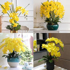 FagusHome 32 Inch Artificial Phalaenopsis Flowers 6 Pcs Artificial Orchid Flowers Stem Plants for Home Décor (Yellow)