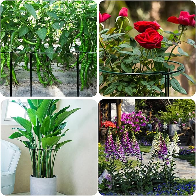 TCBWFY 14" Dx32 H Plant Supports Stakes for Large Heavy Plants,10Pack Peony Supports,Heavy Duty 5mm Wire Peony Cages,Interlock Garden Supports Ring Border Support,Plant Support Cage for Rose Flower