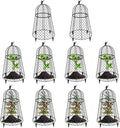 10 Pack Plant Protectors from Animals, Garden Cloches for Plants, Rustproof Chicken Wire Cloche Plant Cages to Keep Animals Out, Sturdy Metal Garden Cages for Outdoor Plants 13" D x 20" H