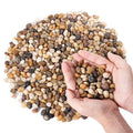 GreatBuddy 5-lb Decorative Rocks for Plants, 1/5" Pea Gravel for Fish Tanks, Aquariums, Terrarium, Drainage Pebbles for Potted Plants, Succulents, Garden Landscaping, Crafts, Indoor&Outdoor
