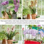 10Pcs Plant Support Stakes with 15pcs Plant Clips,15.7 Inches Bendable Plant Sticks for Indoor and Outdoor Plants,Single Stem Flower Stakes for Phalaenopsis Orchid Flower Roses(Brown)