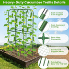 62in Tall Cucumber Trellis for Raised Bed, 34" L x 62" H Metal Garden Trellis for Climbing Plants Outdoor, U-Shape Vegetables Trellis Support for Squash Zucchini Peas Grape