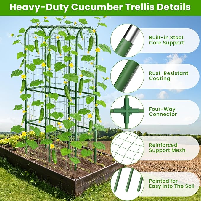 62in Tall Cucumber Trellis for Raised Bed, 34" L x 62" H Metal Garden Trellis for Climbing Plants Outdoor, U-Shape Vegetables Trellis Support for Squash Zucchini Peas Grape