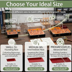 Formicarium - Ant Farm Habitat for Live Ants & Queen, Adult Educational Kit for Ant Behavior Study and Learning