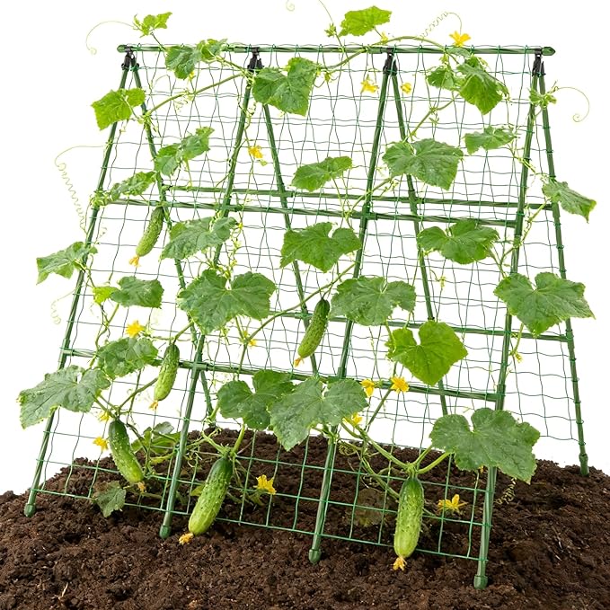 Miory Cucumber Trellis, A-Frame 48" Lx48 H Trellis for Raised Bed, Garden Trellis for Climbing Plants Outdoor, Plant Support for Cucumber