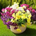 Fanfantoey Artificial Silk Morning Glory Faux Flowers for Porch Patio Gardens Home Decor, 4 Mixed