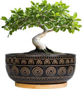 Eightpot Ceramic Bonsai Pots - 8 Inch Plant Pot for Succulent, Round Planter for Indoor Plants, Shallow Planters with Drainage Hole and Tray, Boho Bonsai Bowl, Living Room Decor, Black
