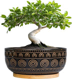 Eightpot Ceramic Bonsai Pots - 8 Inch Plant Pot for Succulent, Round Planter for Indoor Plants, Shallow Planters with Drainage Hole and Tray, Boho Bonsai Bowl, Living Room Decor, Black