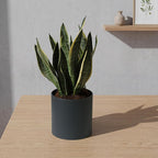 Metal Plant Pot with Drainage Hole,Mid Century Modern 7 inch Round Pot Indoor Outdoor Planters Gift for Decorative Pots of Tabletop Living Room Bedroom Grey
