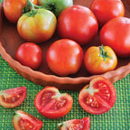 Bonnie Plants Patio Tomato, Live Plant, 19.3 oz., 4-Pack