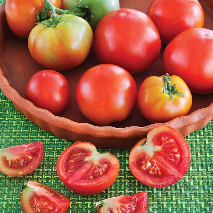 Bonnie Plants Patio Tomato, Live Plant, 19.3 oz., 4-Pack