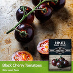 Black Cherry Tomato Seeds for Planting – Indeterminate Heirloom Non-GMO Variety – Grow High Yields of Deep Purple-Black Cherry Tomatoes with Sweet Rich Flavor – Survival Garden Seeds (2 Packs)