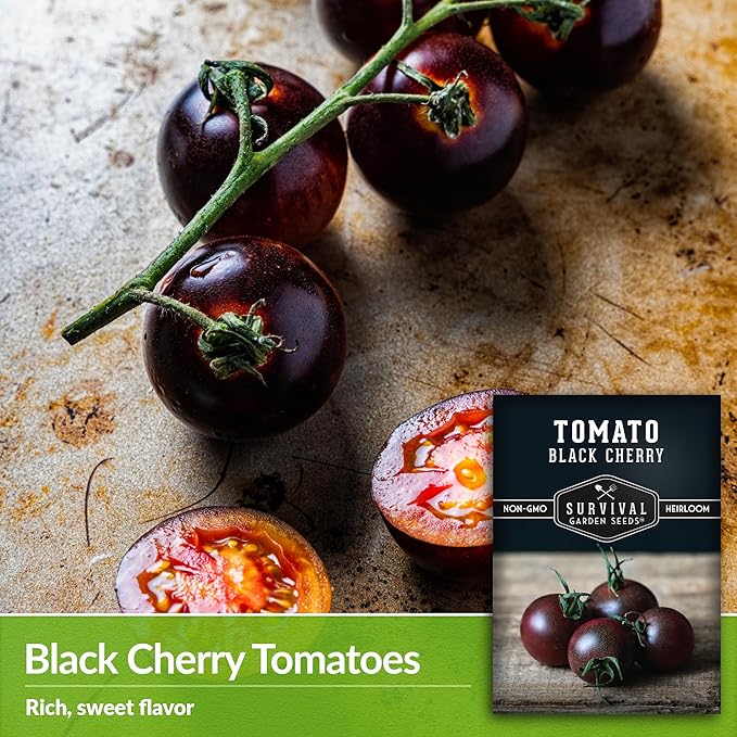Black Cherry Tomato Seeds for Planting – Indeterminate Heirloom Non-GMO Variety – Grow High Yields of Deep Purple-Black Cherry Tomatoes with Sweet Rich Flavor – Survival Garden Seeds (5 Packs)