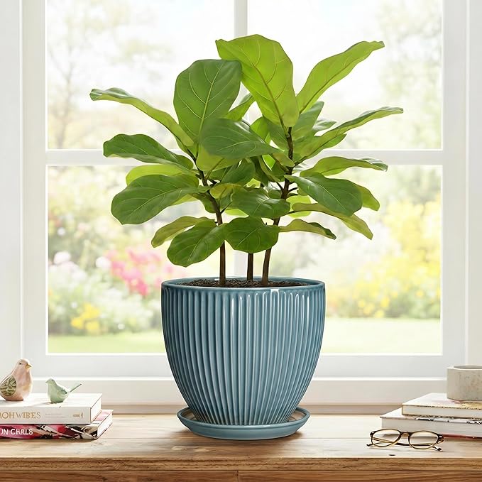 Ceramic Planter, 8 Inch Plant Pot Indoor with Drainage Hole and Saucer, Decorative Planters for Indoor Plants, Modern Flower Pots, Round Planter, Room Decor, Gifts for Plant Lovers, Glaze Blue