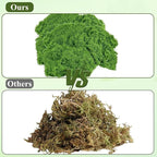 JJUNW 80Pcs Artificial Moss Rocks, Decorative Green Moss Balls, Fake Moss Rocks for Floral Arrangements, Fairy Gardens and Crafting