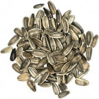 Seed Needs Sunflower Seeds for Planting Dwarf Sunspot Sunflowers - Heirloom & Open Pollinated Annual Cut Flower Seed to Plant 2 Foot Tall Sun Flowers (5 Packs)
