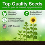 Sunflower Seeds for Planting (17 Varieties, Crazy Mixture), 549+ USA Premium Non-GMO Sunflower Seeds for Planting Indoor & Outdoor, Attracts Butterflies & Bees, Pack for 2026