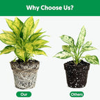 Indoor Potting Soil for Houseplants (4 qt), Well Aeration and Drainage, Lightweight Potting Mix for Indoor Outdoor Plants, Professional Garden Soil for Snake Plant, Monstera, Fiddle Leaf Fig