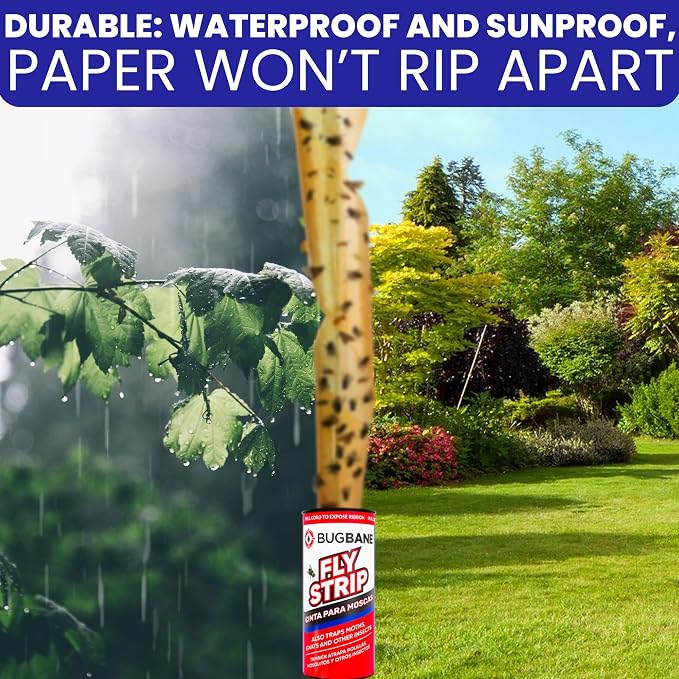 Fly Strips Indoor Sticky Hanging 24pk with Pins. Non Toxic Outdoor Fly Trap Indoor for Home. Flies Tape Paper Trap Ribbon Roll for House Gnat Fruit and Housefly. Bug Catchers for Inside Home Flypaper.