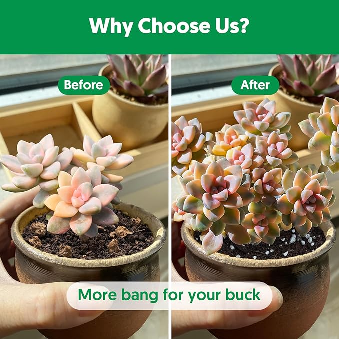 Succulent Cactus Potting Soil Mix (8 qt), All-Purpose Garden Potting Mix for Indoor Outdoor Plants, Quick Drain Houseplant Orchid Bonsai Perlite Soil, Ready-to-Use, Resealable Bag Design