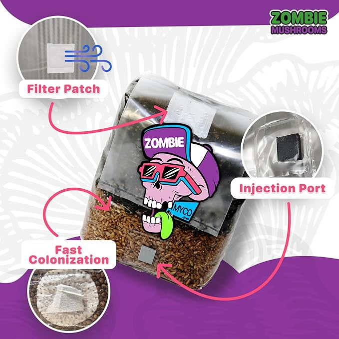 All-in-One Mushroom Grow Kit (1-Pack) – 3lb Mini Bags with Sterilized Grain and CVG Substrate, Injection Ports Included, for Growing Mushrooms at Home (Spores Not Included)