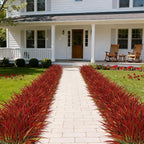 16 Pcs Artificial Plants Outdoor Fake Grass Faux Greenery Stems UV Resistant Plastic Plants Shrubs for Planters Patio Garden Front Porch Pathway Spring Summer Home Decor, Red
