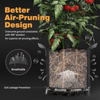 Patigrow Self-Watering Grow Bags, 5-Pack 3 Gallon 420G Thick Nonwoven Fabric Pots with Reinforced Handles and Multi-Purpose Rings, for Low Stress Plant Training Fruits, Vegetables,and Flowers