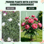 Peony Cages and Supports 8 Pack, 13" Dx24 H Grow Through Plant Supports，Heavy Duty Metal Plant Support Cage for Outdoor Flowers, Tomatoes, Hydrangeas, Cucumbers & Strawberries