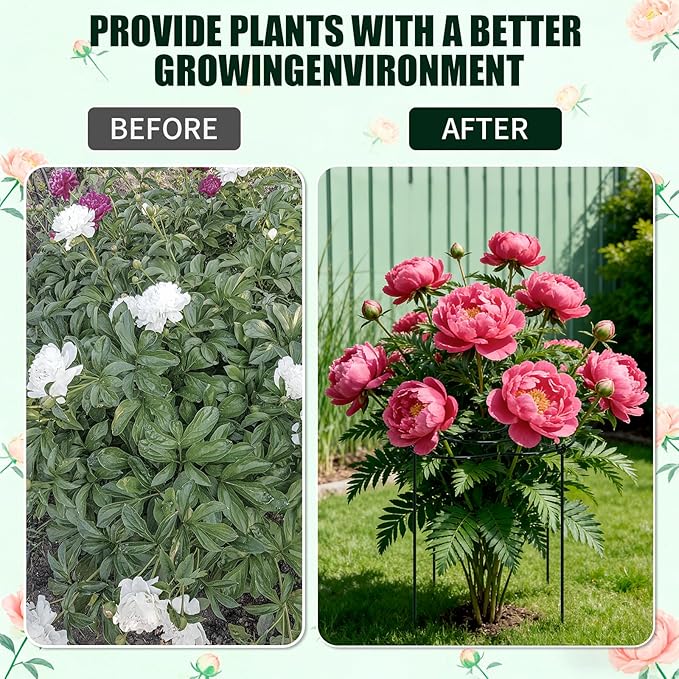 Peony Cages and Supports 4 Pack, 13" Dx24 H Grow Through Plant Supports, Heavy Duty Metal Plant Support Cage for Outdoor Flowers, Tomatoes, Hydrangeas, Cucumbers & Strawberries