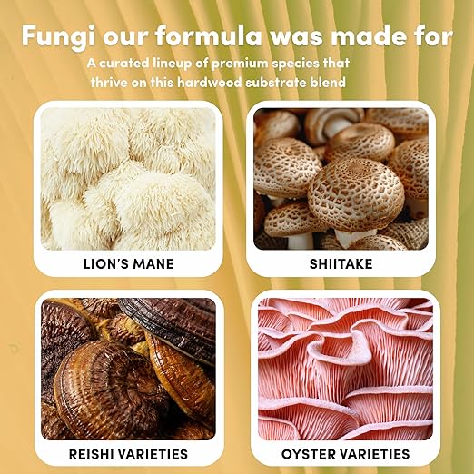 Mycelium All-in-One Mushroom Grow Bag – 6lb Sterilized Substrate with Oak, Soy Hull & Whole Oats Grain | Ready-to-Inoculate Grow Kit with Injection Port | Grow Lion’s Mane, Shiitake & Oyster Mushrooms
