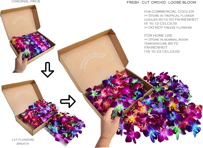 Miami Fresh Orchid Loose Bloom PERISHABLE flowers OrchidClub USA Sunne Tropical DIY lei, food & drink decoration (100 RAINBOW)
