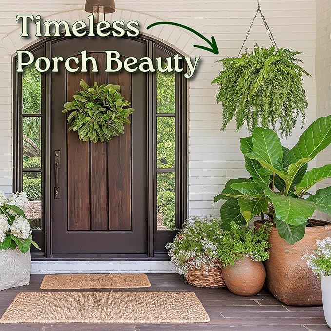Live Boston Fern Hanging Basket – 12" Basket with 34” Wide Lush Green Fronds – Air-Purifying Houseplant – Pet Friendly & Easy Care for Home, Porch, Patio, or Office Décor