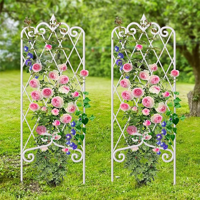 AMAGABELI GARDEN & HOME 2 Pack 60” x 18” Garden Trellis for Climbing Plants Outdoor Trellis for Climbing Roses Plant Trellis Vegetables and Flower Vine White Trellis for Ivy Cucumbers