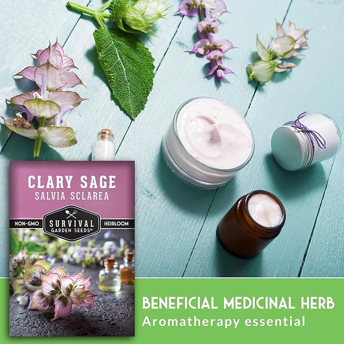 Clary Sage Seeds for Planting - Medicinal Herb for Aromatherapy & Pollinators, Fragrant Perennial Salvia Sclarea for Healing Gardens, Non-GMO Heirloom - Survival Garden Seeds (1 Pack)