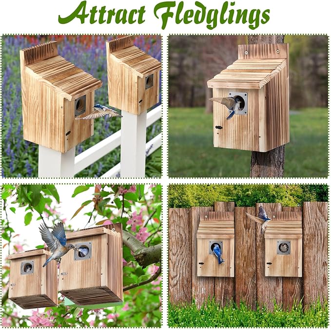 Dreyoo Cedar Bluebird Houses for Outside, 1-1/2” Entrance Hole Wooden Bird Houses with Metal Predator Guard, Secure Latch, Fledgling Grooves, Air Vents(Dark Wood)