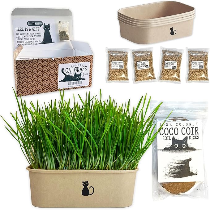 Cat Grass Grow Kit — 4-Batch Indoor Growing Set with Containers, Soil Disks & Seeds | Supports Digestion & Hairball Control | Ready to Grow, No Mess